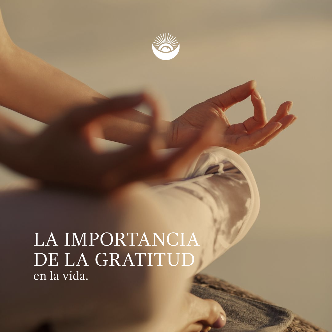 La importancia de la gratitud en la vida