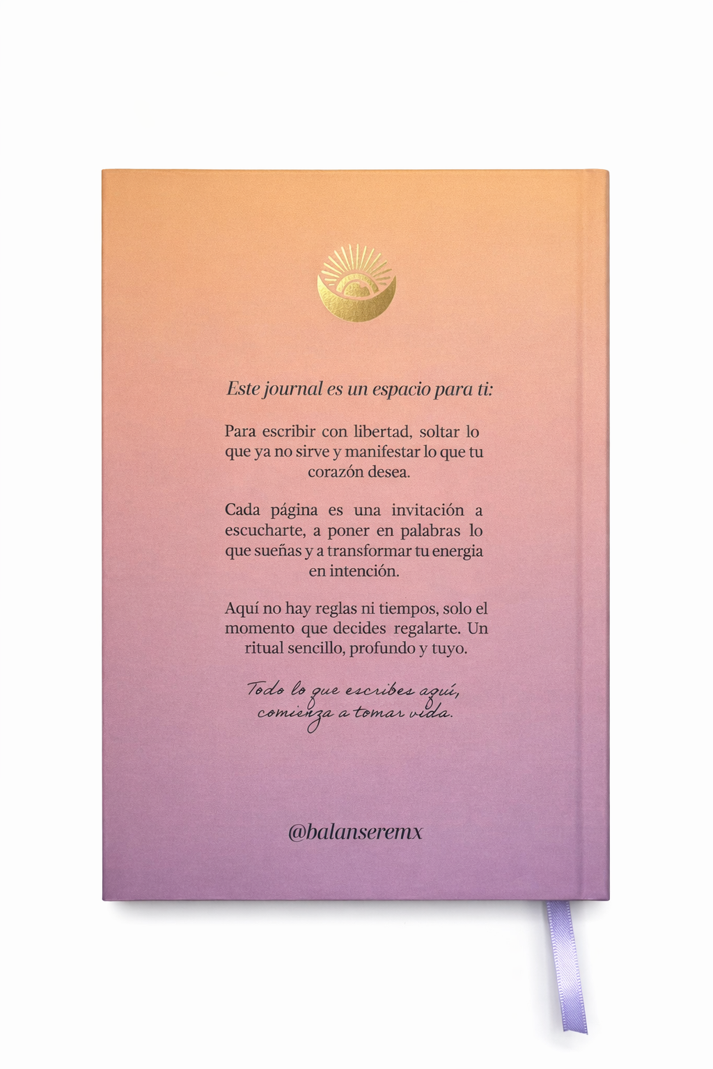 Diario de Manifestación