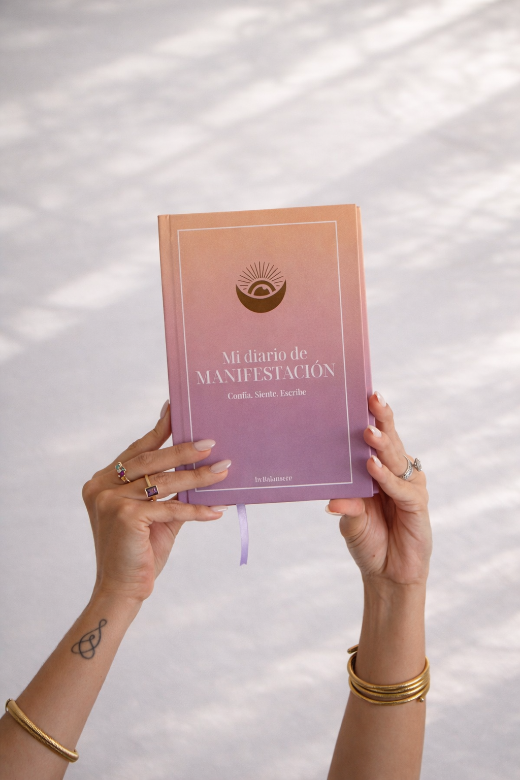 Diario de Manifestación